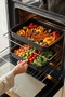 Terra Rectangular Baking Tray Set - 30/35 cm - 3