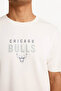 Chicago Bulls Stone Men's T-Shirt F9789Ax/Bg662 - 5