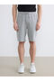 Gray Standard Fit Men's Shorts - 2