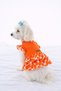 Cat - Dog Summer Clothes Cotton Pack of Viscose - Outfit - T-Shirt
