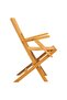 Folding Garden Chairs 2 pcs 55x61x90 cm Solid Wood Teak - 4