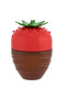 Kristina'S Sweet Strawberry For Women Eau De Parfum 100ml