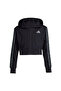 Children's Daily Hooded Sweatshirt Jg an 3S ft Fz Kb6985 - 4