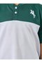 Boys Color Block Polo T-Shirt and Shorts Set - 3