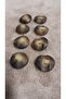 Polyester Button 26 Boy 16 mm 8 Pieces - 3
