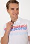 2104441 Karc Us Polo Assn Men's T-Shirt - 2