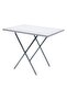 Picnic Plastic Table - 2