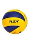 PU Volleyball