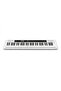 Keyboard CTS-200 White - 5