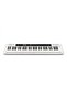 Keyboard CTS-200 White - 2