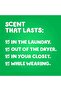High Efficiency Original Liquid Laundry Detergent, 146 Loads - 4