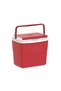 Picnic Icebox