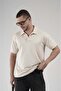 Polo Collar Line Detailed Regular Fit Men's T-Shirt