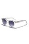 Eoh4017 C3 Light Gray Acetate Unisex Sunglasses