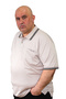 Men's Plus Size Double Striped Knitwear Polo Collar T-Shirt - 2