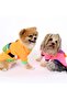 Pet Sweatshirt with Bag - Orange - Dog and Cat Outfit - 3