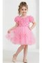 Girl's Rose Detailed Tulle Dress Princess Model 2 Pieces-1693 - 4