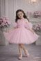Pom-Pom Sleeves Rose Patterned Tulle Piece Party and Birthday Dress Evening Gown