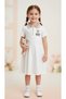 Collared Ribbed Knit Embroidered Dress