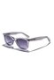 Eoh4021 C2 Light Gray Acetate Unisex Sunglasses
