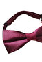 23 April Adjustable Elastic Children's Satin Bow Tie Set of 5 for Birthdays and Special Occasions - 3