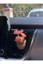 Daisy Drive In-Car Mini Terra Flower Pot - Pink - 4