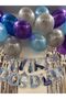 Frozen Elsa Anna Birthday Party Supplies Set – Balloon, Banner, Tablecloth - 3