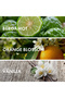NEROLI MARSHMALLOW - EDP 50ml For Women, Sweet Long Lasting Perfume 24Hr, Inspired-LOVE DON'T BE SHY - 3