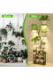 Wrought Iron Flower Rack with Shelves for Indoor & Balcony Plants - 5
