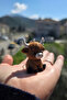 Knitted Patterned Amigurumi Highland Cow Keychain Bag Charm Car Accessory - 4