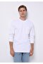 Comfort Fit Round Neck Plain Men's White Long Sleeve T-Shirt