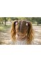 Dd58 English Letter Figured Girl's Hair Clip (3 cm) School Hair Clip Pink Red