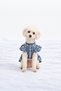 Cat - Dog Summer Dress - Seasonal Floral Denim Dress - Gilet - Outfit -T-Shirt - 6