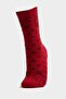 Women's Stitch-Free 2-Pack Cotton Pack Long Socks H5108Axns - 2
