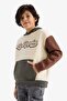 Oversize Long Sleeve Hooded Cotton Printed Soft Fleece Inside Sweatshirt for Boys G5562A825Cw - 3