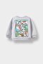 Crew Neck Dinosaur Printed Soft Fleece Inside Sweatshirt for Baby Boy F5020A525Au - 6