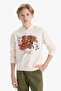 Hooded Printed Sweatshirt for Boys F2844A825Au - 3