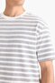 Regular Fit Crew Neck Short-Sleeve Striped T-Shirt E2623AX25SM - 5