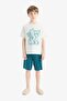 100% Cotton Printed Elastic Waist Pajama Set for Boys F1735A825Hs - 2