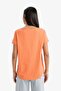 100% Cotton Basic Plain T-Shirt (25 Sm) - 5