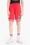 شورت NBA Chicago Bulls من التول للأولاد E4853A825SM - 4