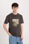 100% Cotton Hot Wheels Crew Neck Printed Short Sleeve T-Shirt D6816Ax25Sp
