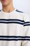 Regular Fit Crew Neck Textured Sweatshirt D7595Ax25Sp - 5
