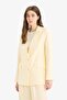 Afra X Defacto Loose Fit Double Breasted Collar Buttoned Blazer Jacket Z8276Az25Sp - 3