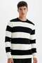 Standard Fit Regular Cut Crew Neck Striped Knitwear Sweater D1968Ax24Au