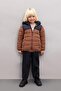 Baby Boy Water Repellent Fleece Lined Color Block Patterned Hooded Puffer Jacket A2215A524Au - 2