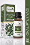 Okaliptus Yağı 20 ML - 2