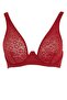 Fall in Love Lace Li Cup-Free Pedsiz Wired Bra A8422Ax23Wn