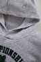 Baby Boy Hooded Printed Soft Fleece Sweatshirt B5312A523Wn - 2
