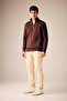 Comfort Regular Fit Comfortable Fit Zippered Stand Collar Basic Plain Sweatshirt X7405Az23Au - 2